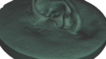 3D Scanned Ear with Price