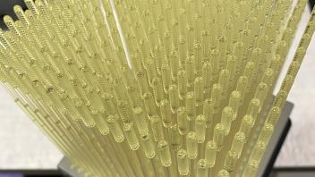 Sample Swabs