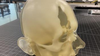 Multi Material Skull