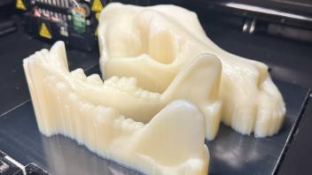 Printed Skull