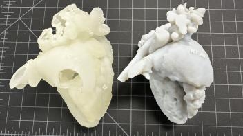 Printed Hearts