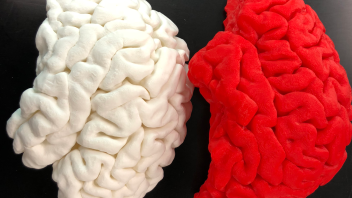 FDM Printed Brain with Price