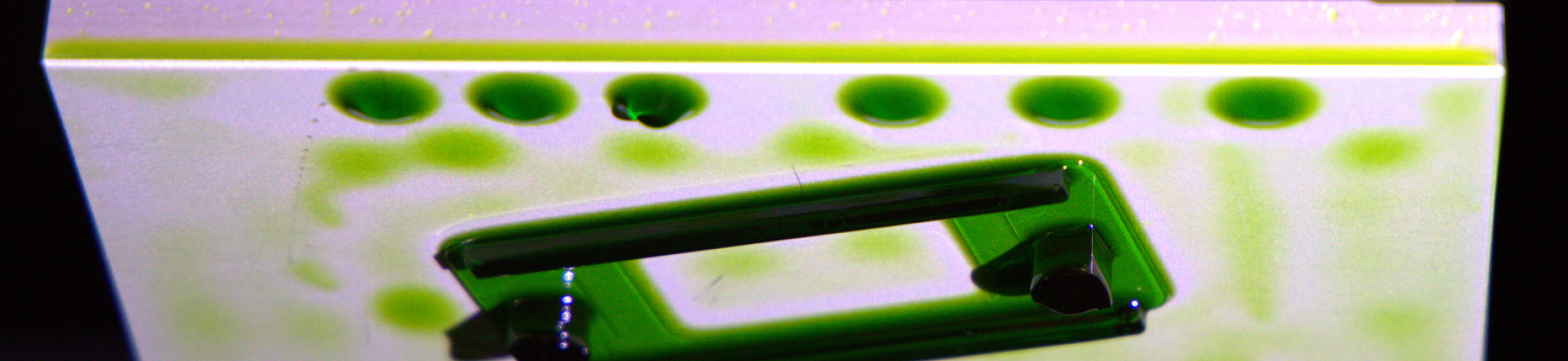 Print on Build Platform of DLP Printer